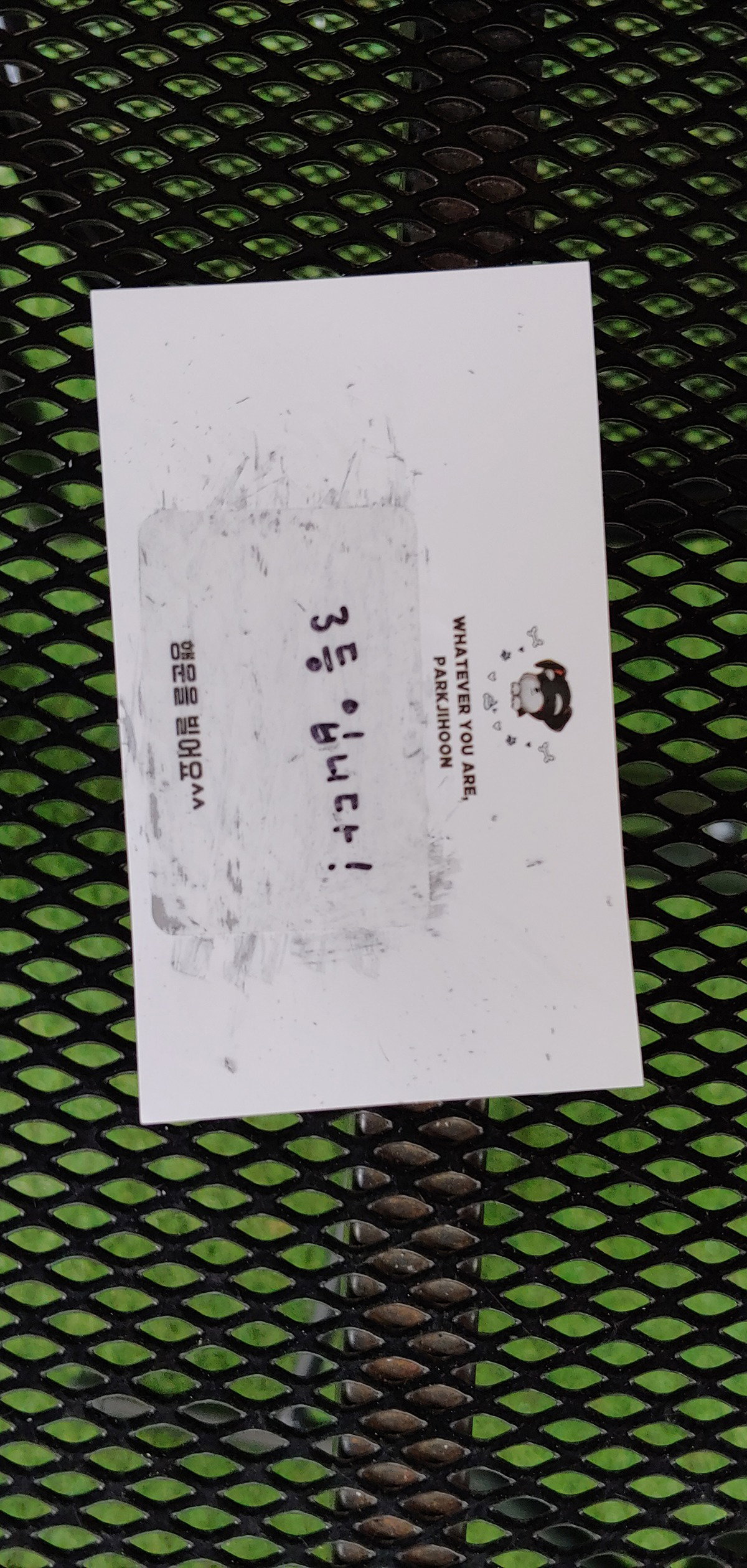 fNbbQz