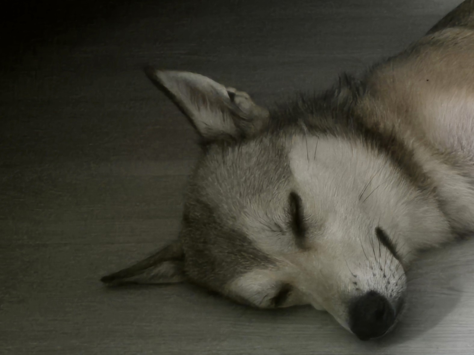 fOAoFP