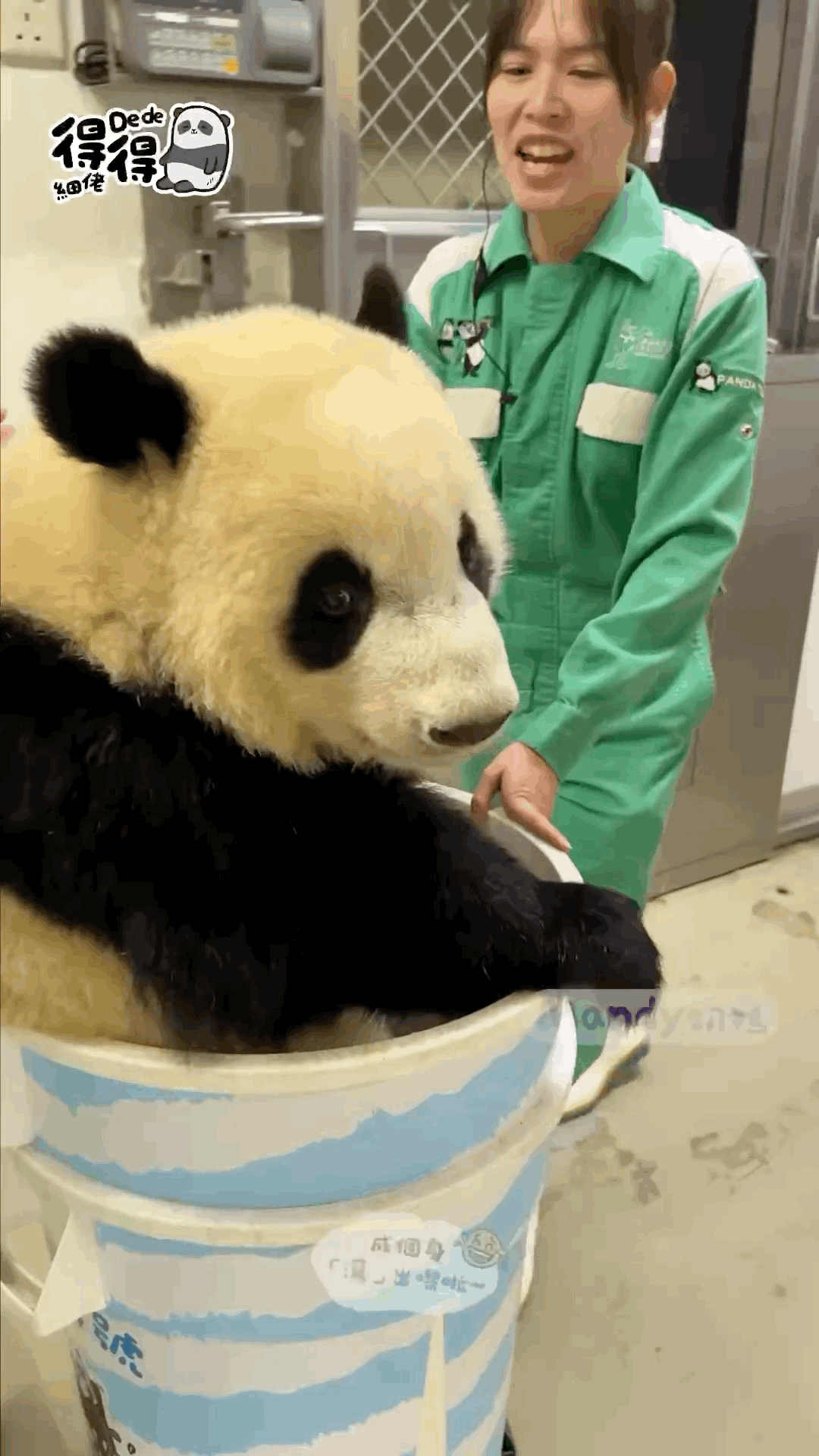 fPCcYX.gif