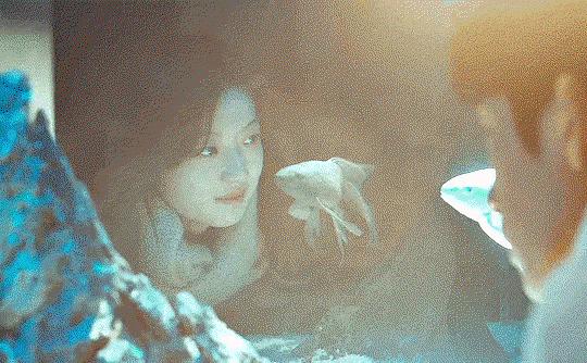 fPdfIw.gif