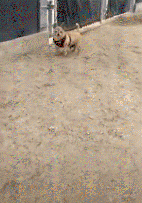 fPxaNE.gif