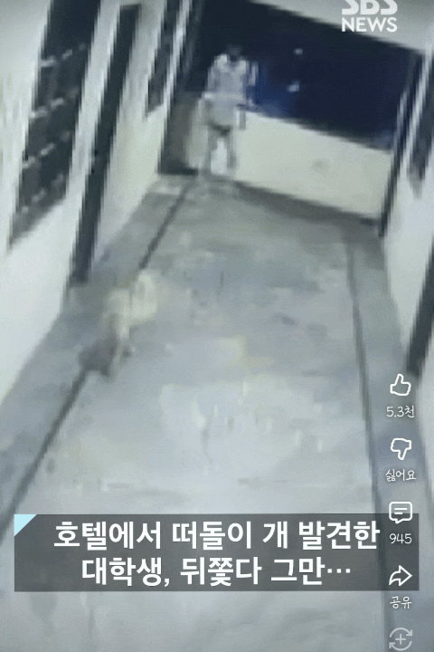 fSJkOr.gif