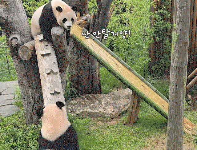 fTnZSm.gif