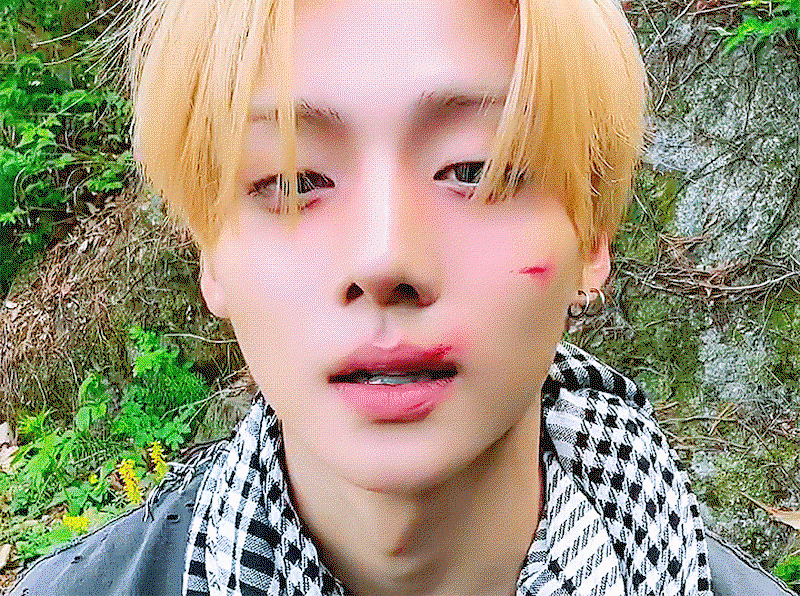 fWjdrJ.gif