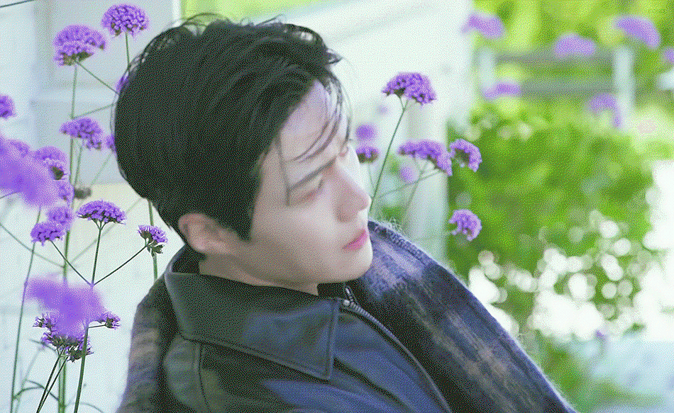 fWttjt.gif