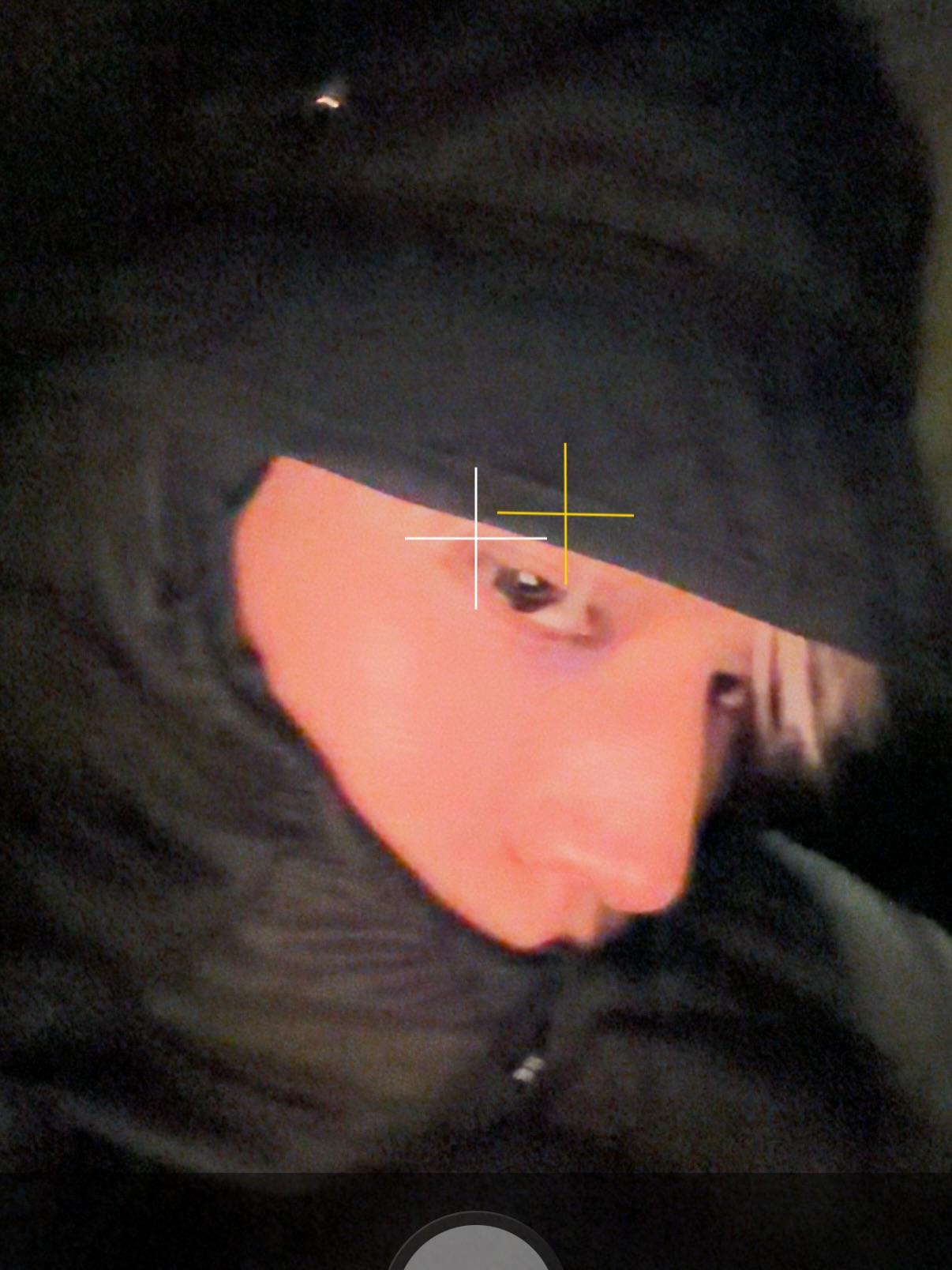 fYnywK