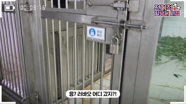 fZAZJb.gif