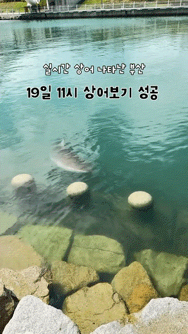 faMzqL.gif