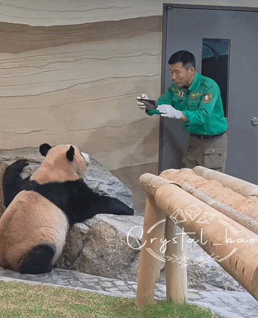 faQZtY.gif