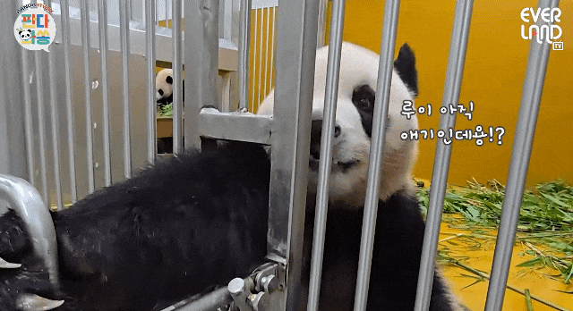 faWbBM.gif