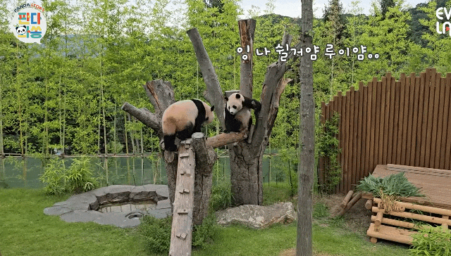 fcuBti.gif