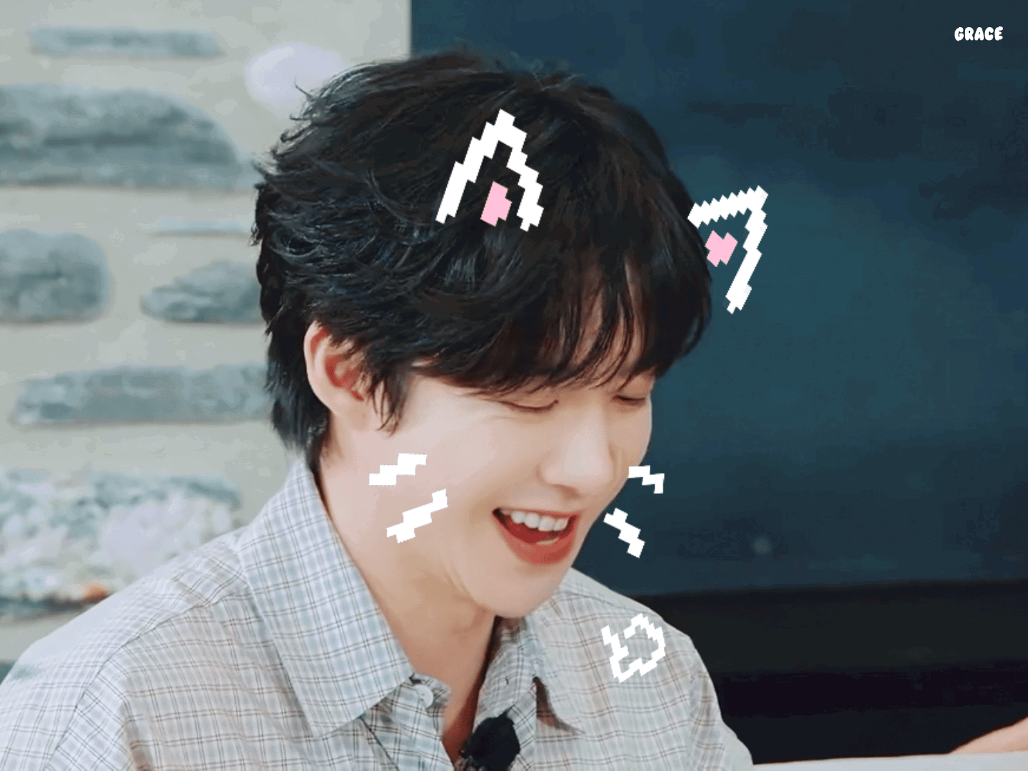 fdrgmy.gif