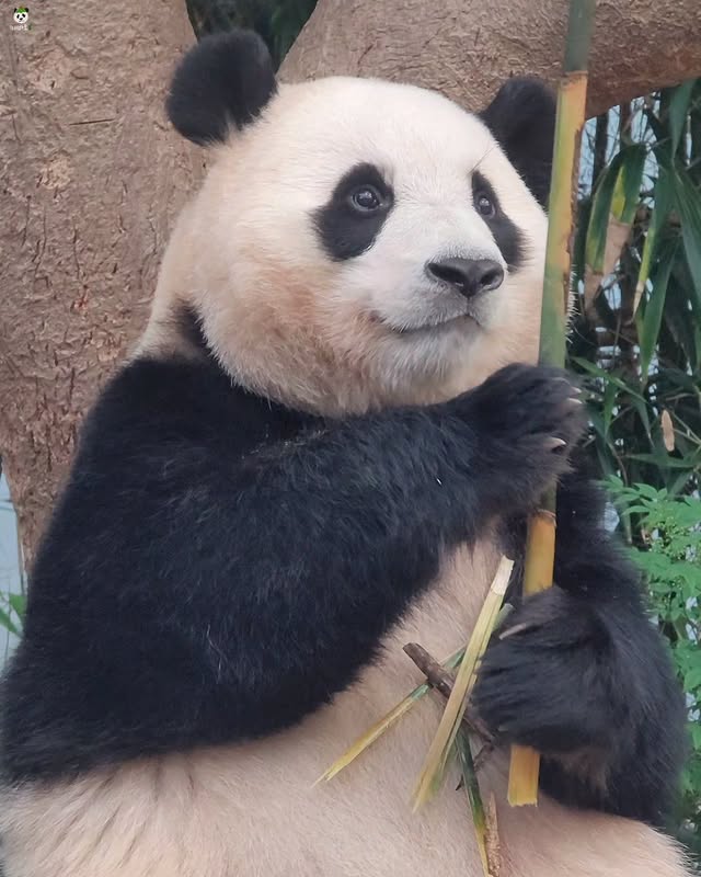 fdwXGq