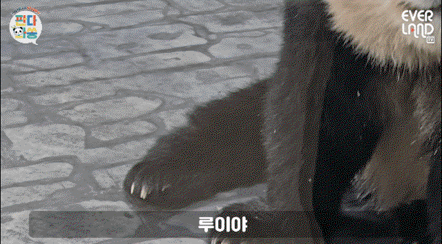 feNrvZ.gif