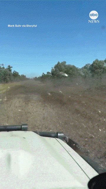 felXEo.gif