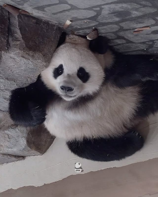 fequNp