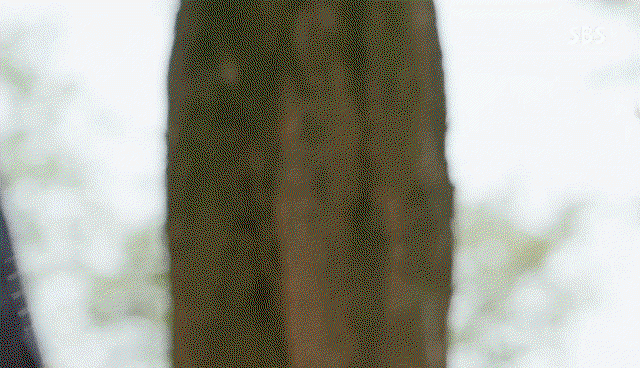 fmZxUd.gif
