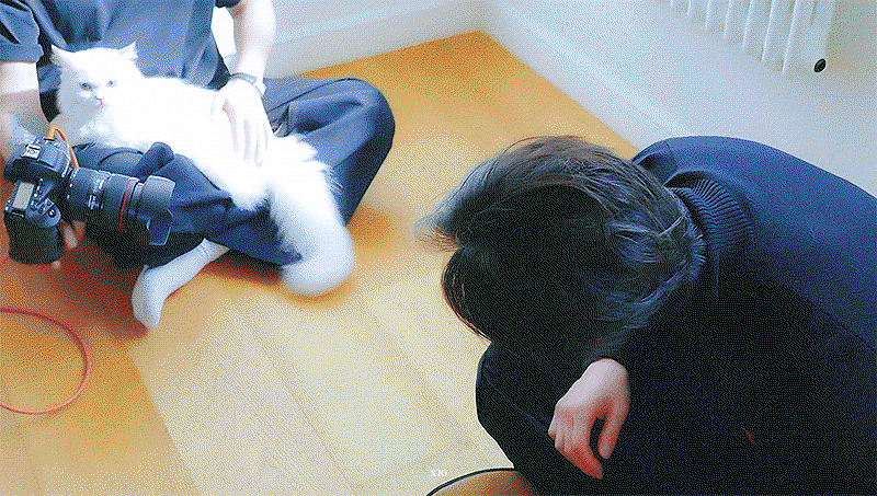 foXqxf.gif