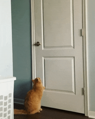 fqrJii.gif