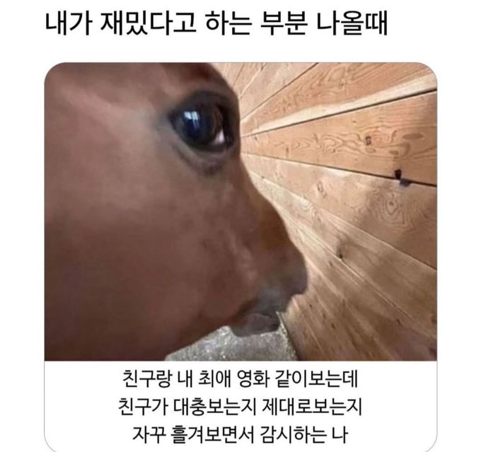 frOMiF