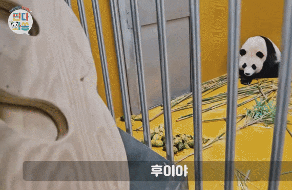 ftQGxB.gif