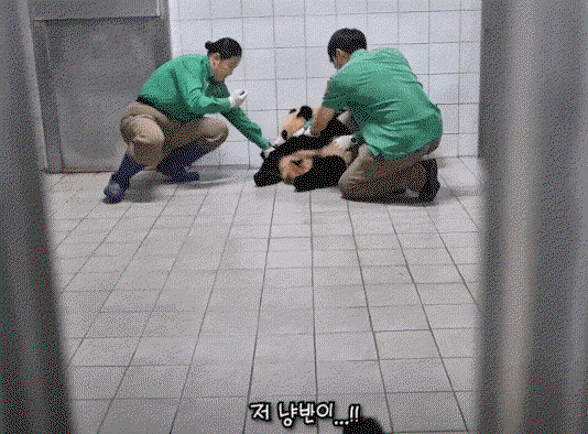 ftiBHk.gif