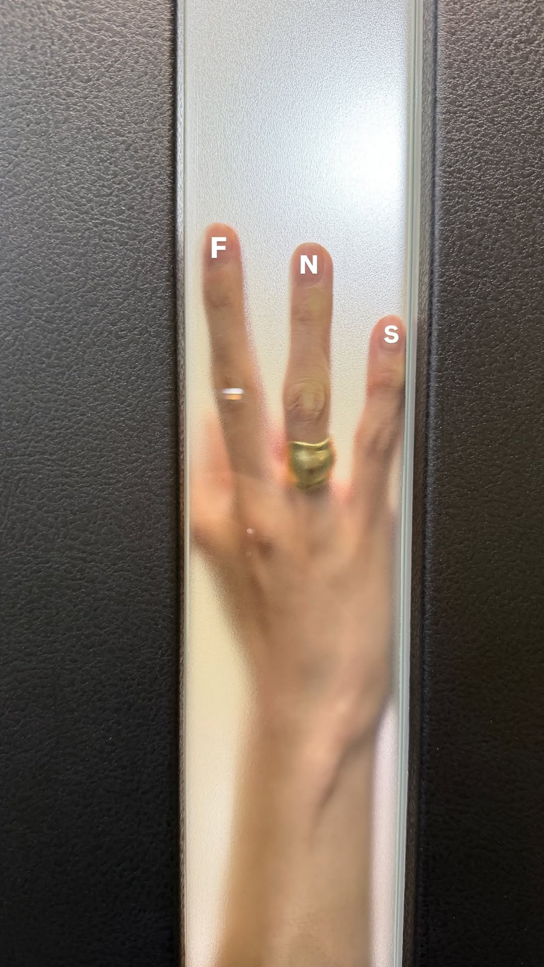 fvGroV