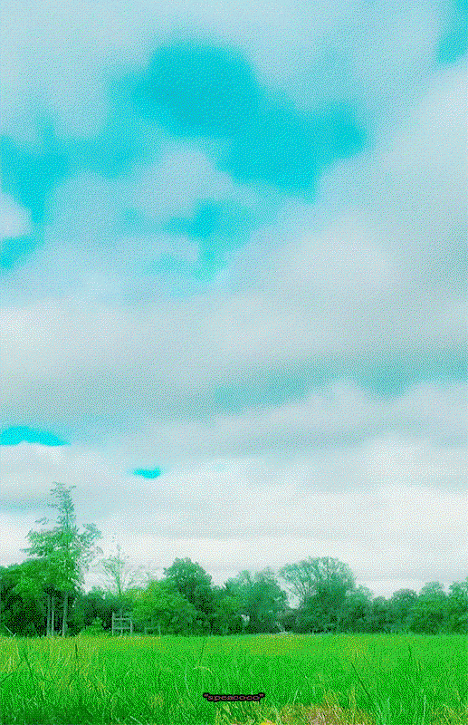 fwQplB.gif