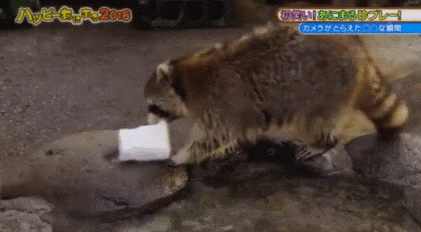 fwuCMe.gif