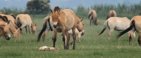 fwxzaM.gif
