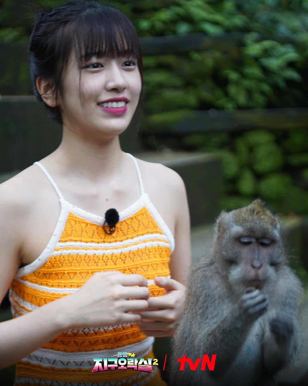 fxOHAW