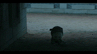 fxgCvT.gif