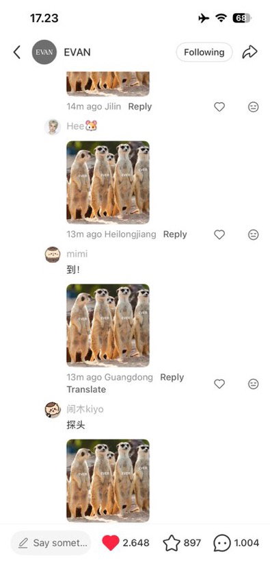 gBplKG