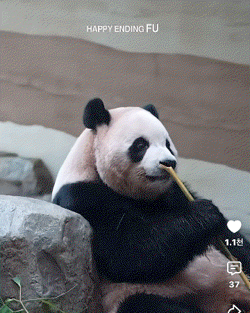 gCNNZD.gif