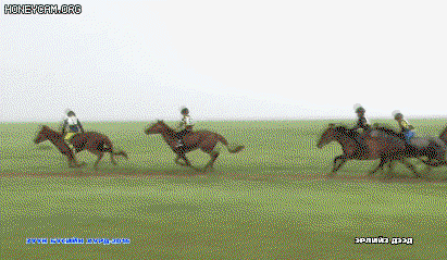 gDGARb.gif