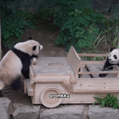 gIBFdh.gif
