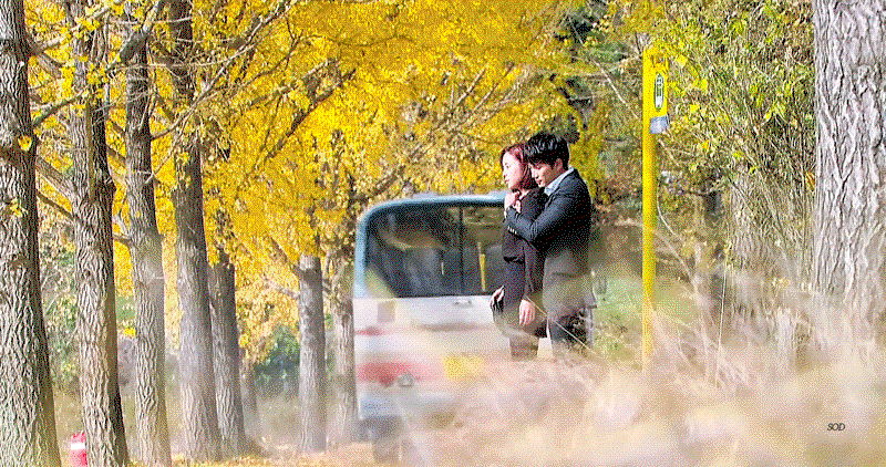 gIObXB.gif