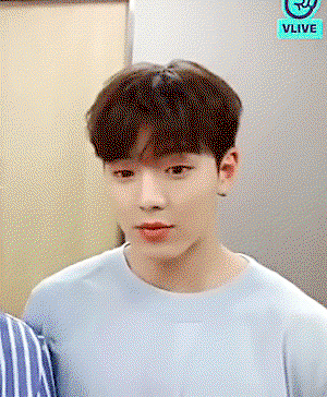 gJpaxB.gif