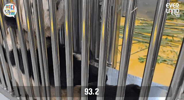 gONxQm.gif