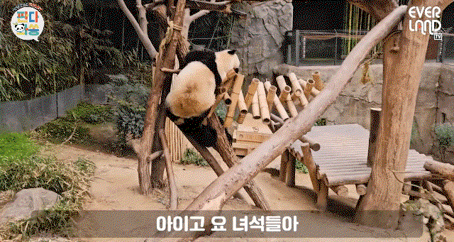 gQPyDp.gif