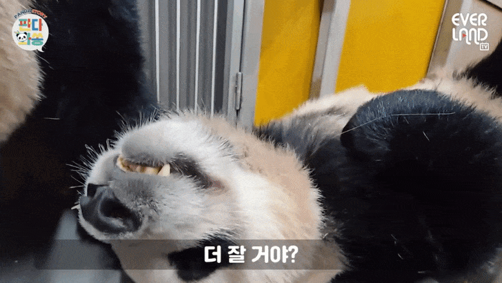 gTTOkO.gif