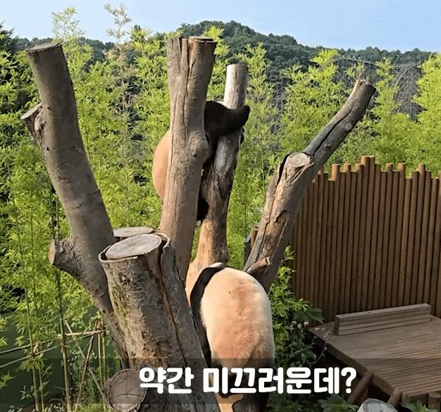 gTTvtG.gif