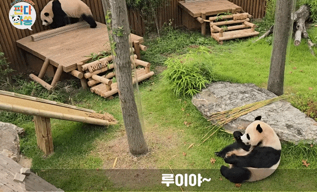 gVqtKT.gif