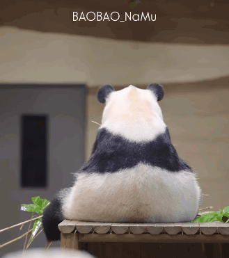 gYdutb.gif