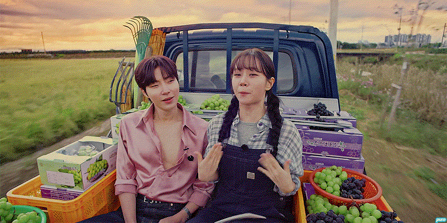 gZvKIB.gif