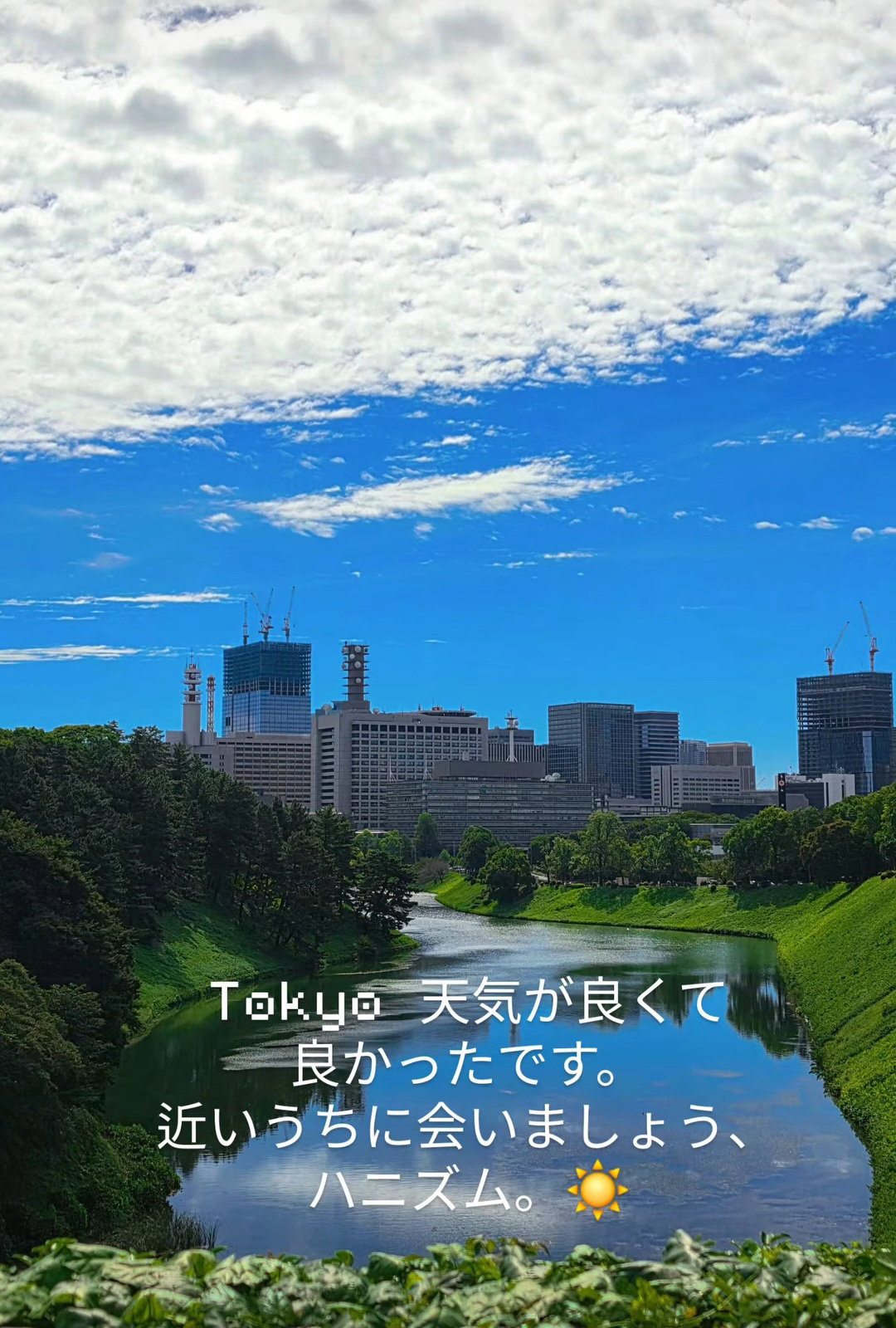gbKBFo