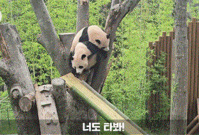 gcsZra.gif