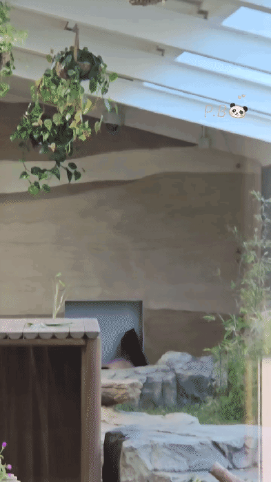 gdIAXU.gif