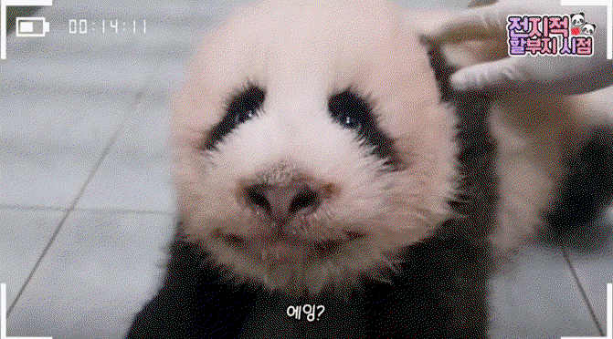 gdlBOo.gif