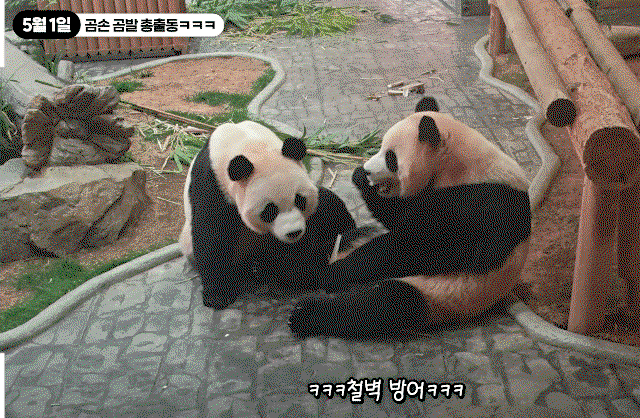 gdzapA.gif